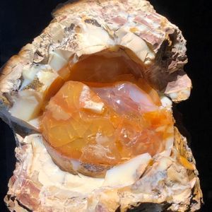 Meet your Posher, Lena